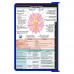 WhiteCoat Clipboard® - Blue Neurology Edition